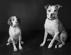 Fundraising Page: Drake and Jory Simpson